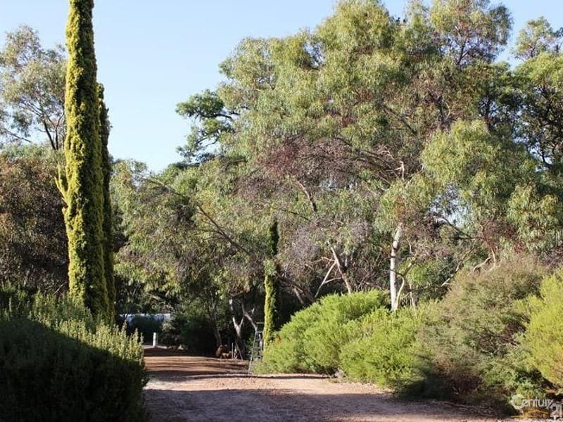 37/23 Casuarina Drive, Bunbury, WA, 6230, Donnybrook - Thumbnail 3