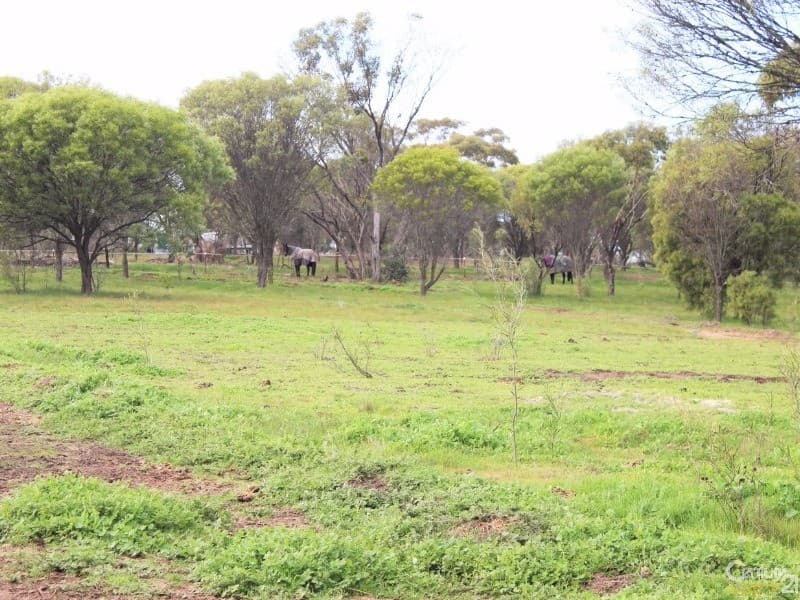 37/23 Casuarina Drive, Bunbury, WA, 6230, Deniliquin - Thumbnail 2