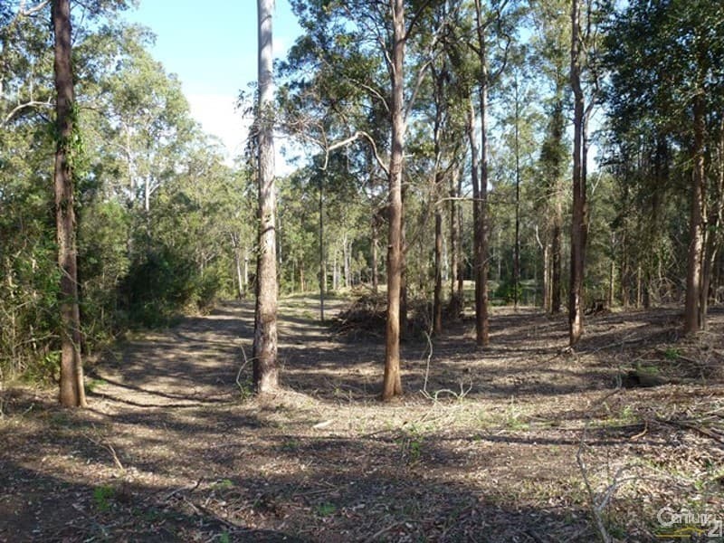 Address Withheld, Afterlee, NSW, 2474, Afterlee - Thumbnail 2