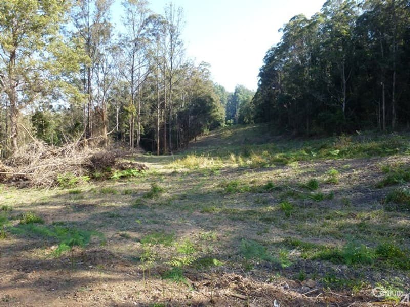 Address Withheld, Afterlee, NSW, 2474, Afterlee - Thumbnail 3