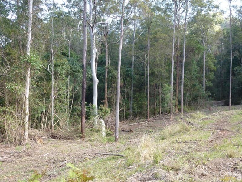 Address Withheld, Afterlee, NSW, 2474, Afterlee - Thumbnail 5
