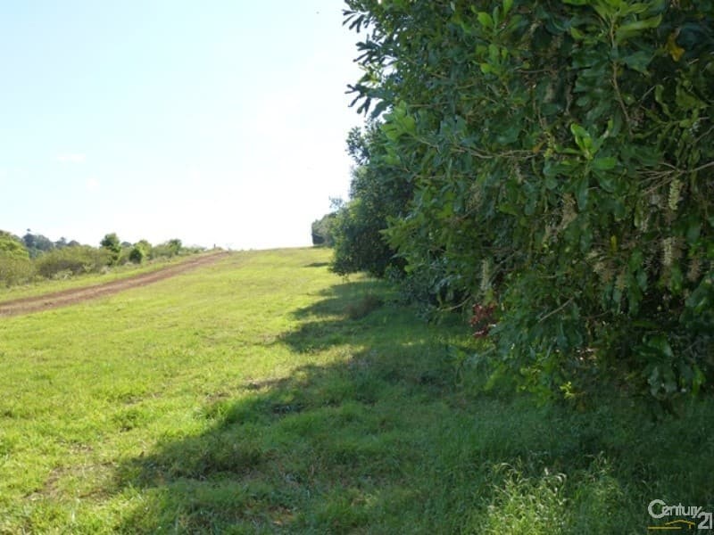 Address Withheld, Wyrallah, NSW, 2480, Wyrallah - Thumbnail 3