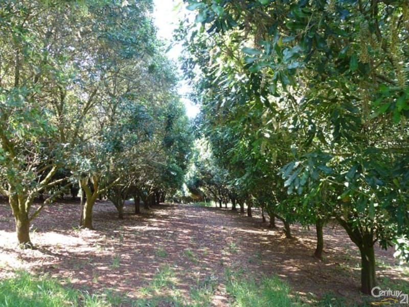 Address Withheld, Wyrallah, NSW, 2480, Wyrallah - Thumbnail 5