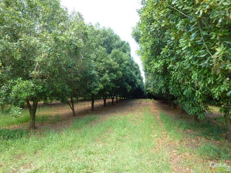 Address Withheld, Wyrallah, NSW, 2480, Wyrallah - Image 1