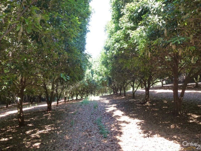 Address Withheld, Wyrallah, NSW, 2480, Wyrallah - Thumbnail 4