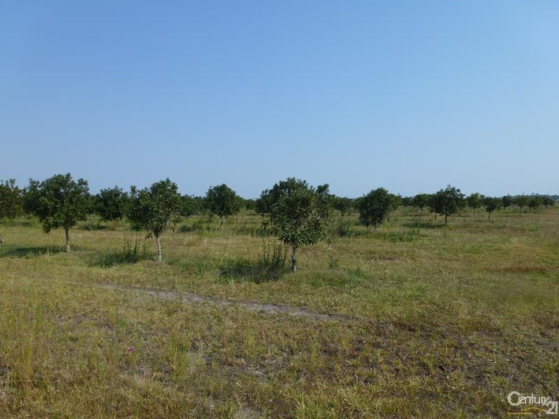 Address Withheld, Empire Vale, NSW, 2478, Empire Vale - Thumbnail 4