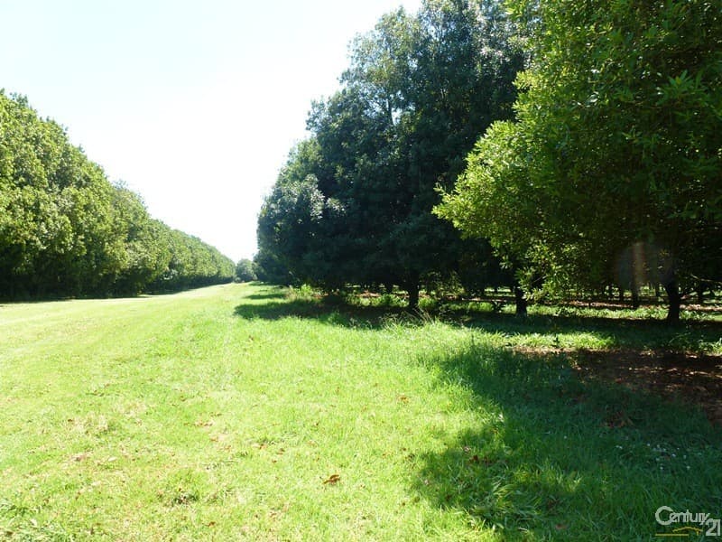 Address Withheld, Clunes, NSW, 2480, Clunes - Image 1