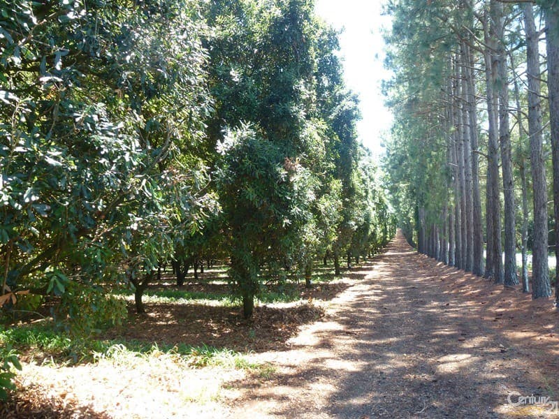 Address Withheld, Clunes, NSW, 2480, Clunes - Thumbnail 6