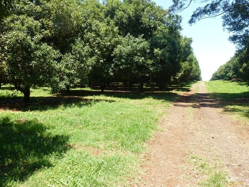 Address Withheld, Clunes, NSW, 2480, Clunes - Thumbnail 7