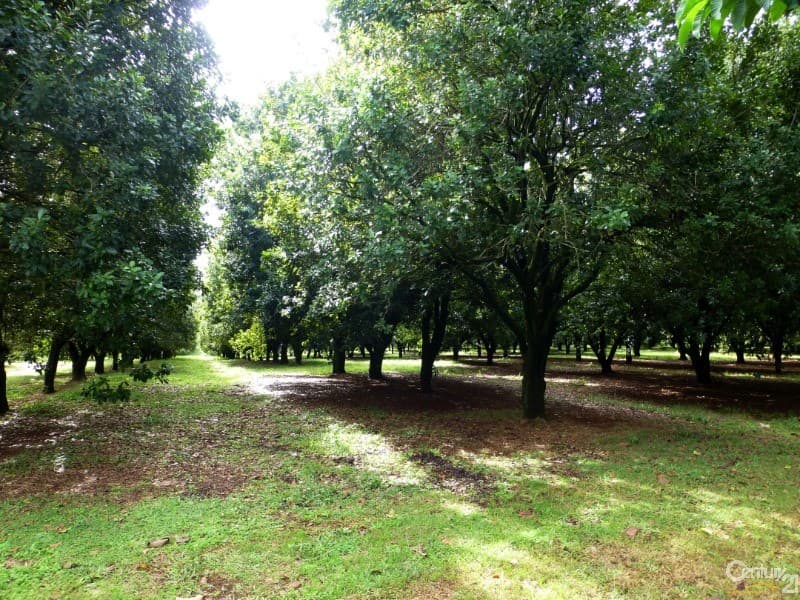 Address Withheld, Federal, NSW, 2480, Federal - Thumbnail 2