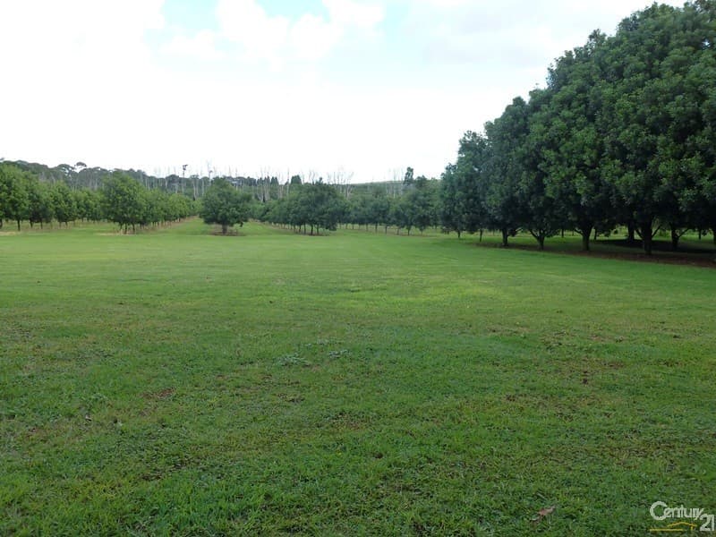 373 Ellis Road, Alstonville, NSW, 2477, Rous - Thumbnail 6