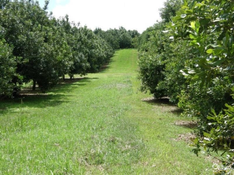 Address Withheld, Alstonville, NSW, 2477, Alstonville - Thumbnail 7