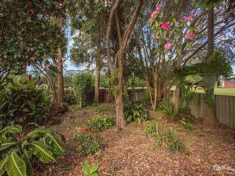 433 Wardell Road, Lynwood, NSW, 2477, Lynwood - Thumbnail 8