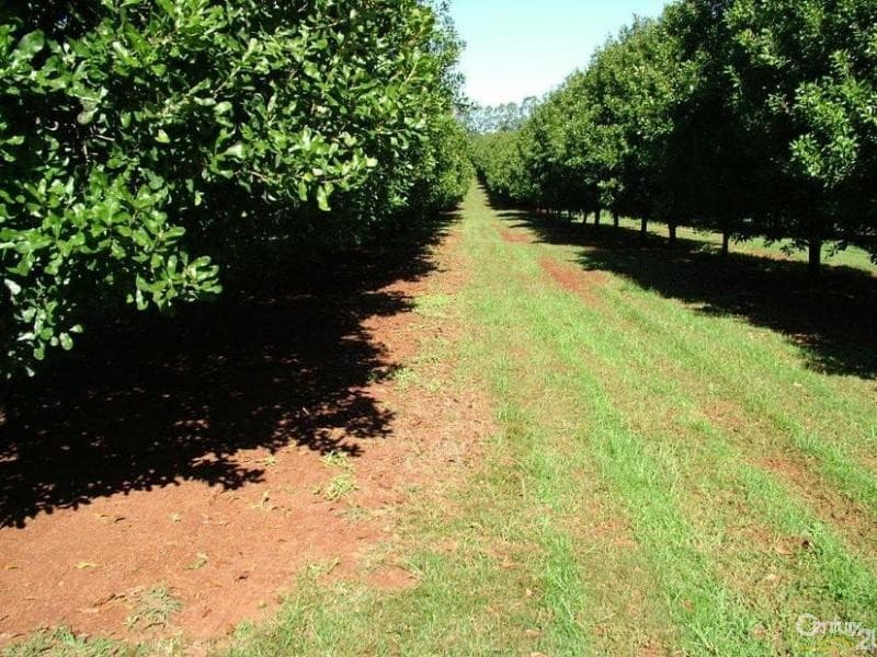 Address Withheld, McLeans Ridges, NSW, 2480, McLeans Ridges - Image 1