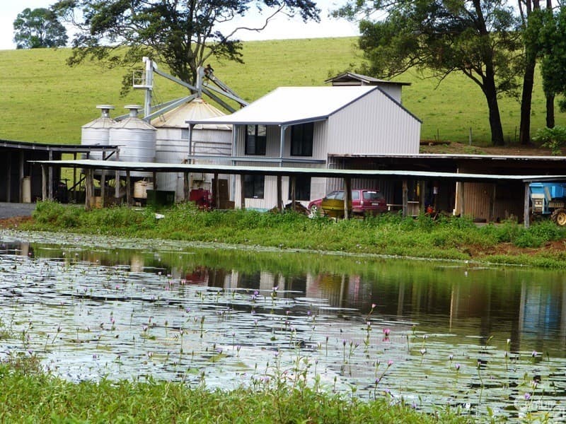 Address Withheld, Dunoon, NSW, 2480, Dunoon - Thumbnail 3