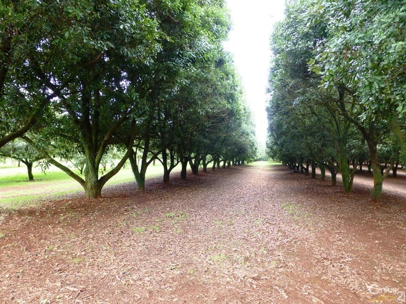 Address Withheld, Dunoon, NSW, 2480, Dunoon - Thumbnail 4