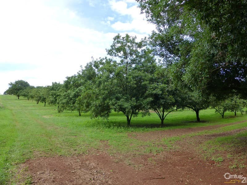 Address Withheld, Dunoon, NSW, 2480, Dunoon - Thumbnail 7