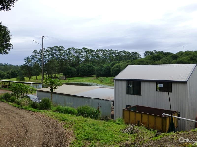 Address Withheld, Dunoon, NSW, 2480, Dunoon - Thumbnail 8