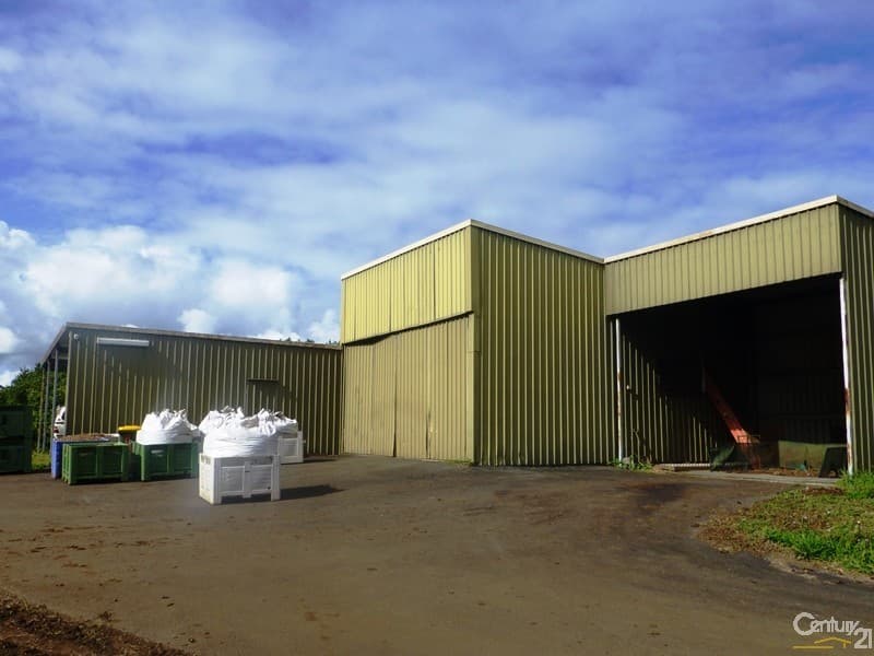 86 Eureka Road, Clunes, NSW, 2480, Clunes - Thumbnail 3