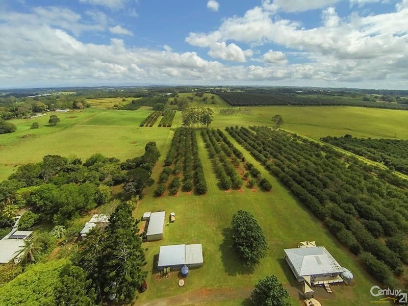 Address Withheld, Dalwood, NSW, 2477, Dalwood - Thumbnail 2