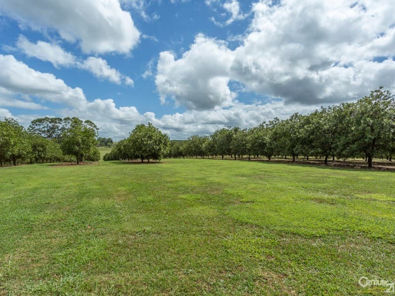 Address Withheld, Dalwood, NSW, 2477, Dalwood - Image 1