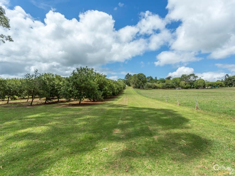 Address Withheld, Dalwood, NSW, 2477, Dalwood - Thumbnail 7