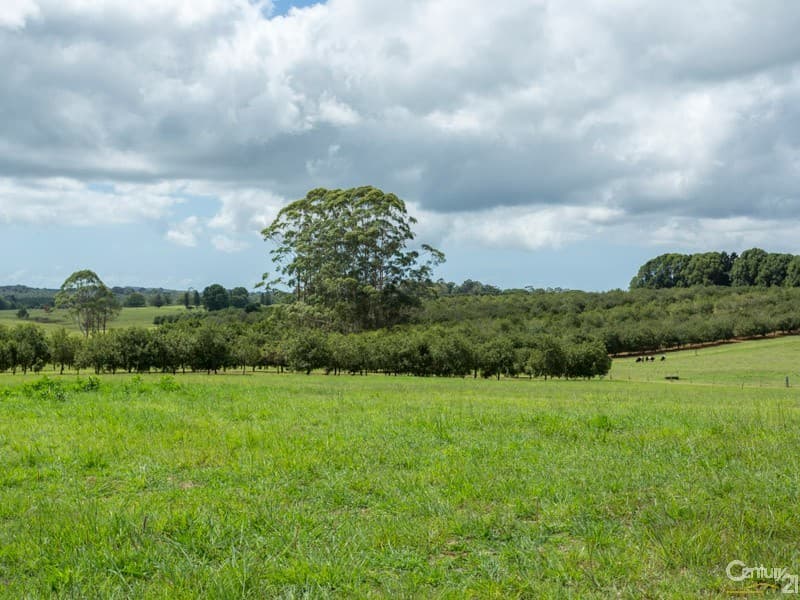 Address Withheld, Dalwood, NSW, 2477, Dalwood - Thumbnail 8