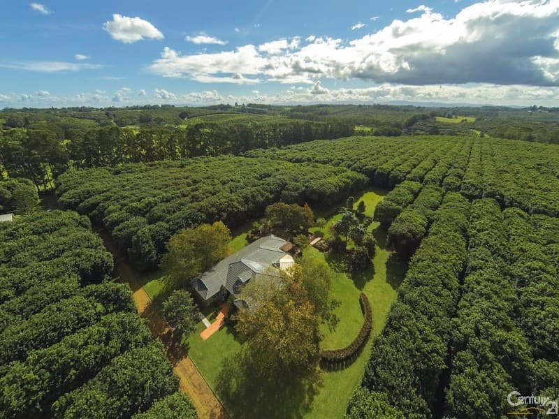Address Withheld, Tregeagle, NSW, 2480, Tregeagle - Image 1