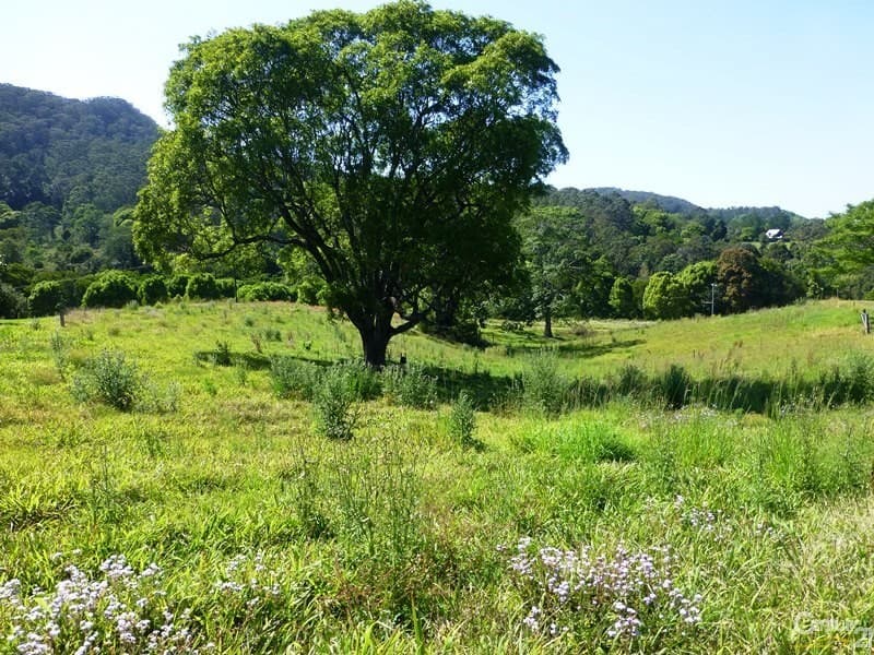 328 Upper Coopers Creek Road, Upper Coopers Creek, NSW, 2482, Upper Coopers Creek - Thumbnail 4