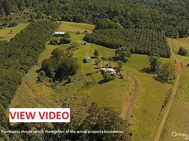328 Upper Coopers Creek Road, Upper Coopers Creek, NSW, 2482, Upper Coopers Creek - Image 1
