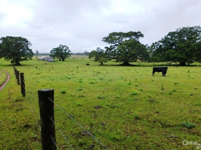 Address Withheld, Tucki Tucki, NSW, 2480, Tucki Tucki - Thumbnail 7