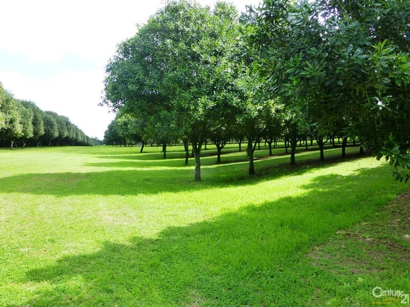Address Withheld, Tregeagle, NSW, 2480, Tregeagle - Image 1