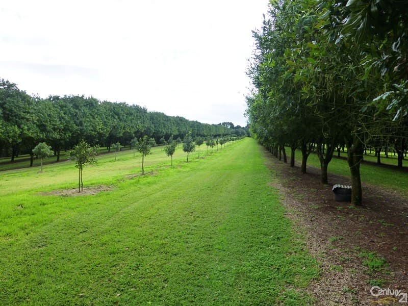 Address Withheld, Tregeagle, NSW, 2480, Tregeagle - Thumbnail 2