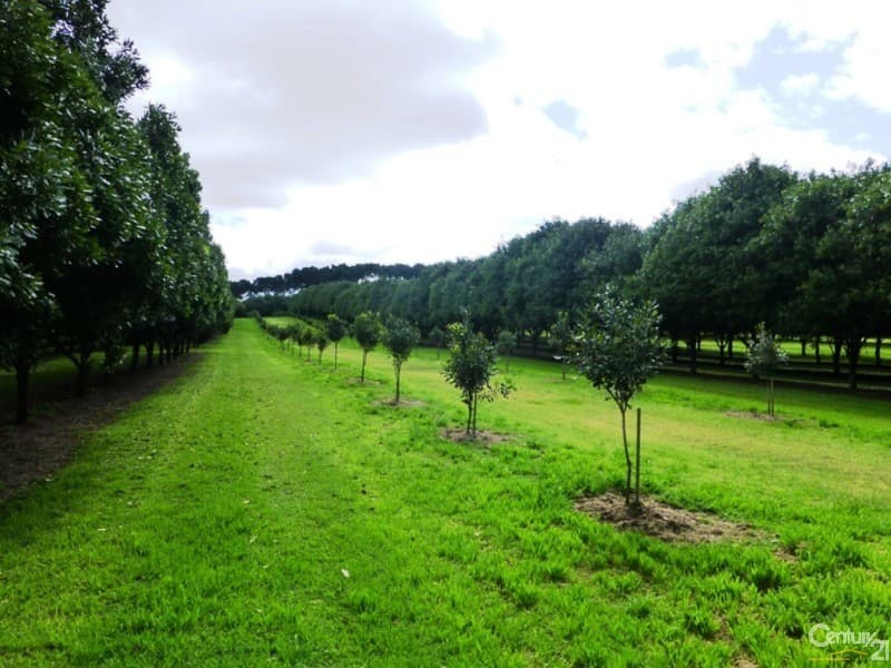 Address Withheld, Tregeagle, NSW, 2480, Tregeagle - Thumbnail 6