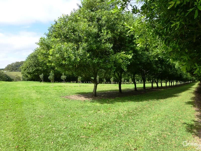 Address Withheld, Tregeagle, NSW, 2480, Tregeagle - Thumbnail 7