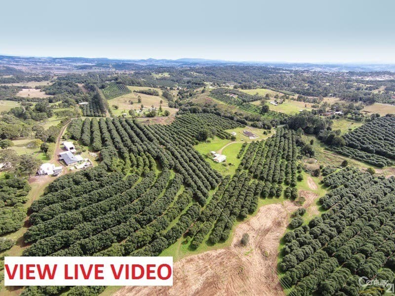 102 Muller Road, Tregeagle, NSW, 2480, Tregeagle - Image 1
