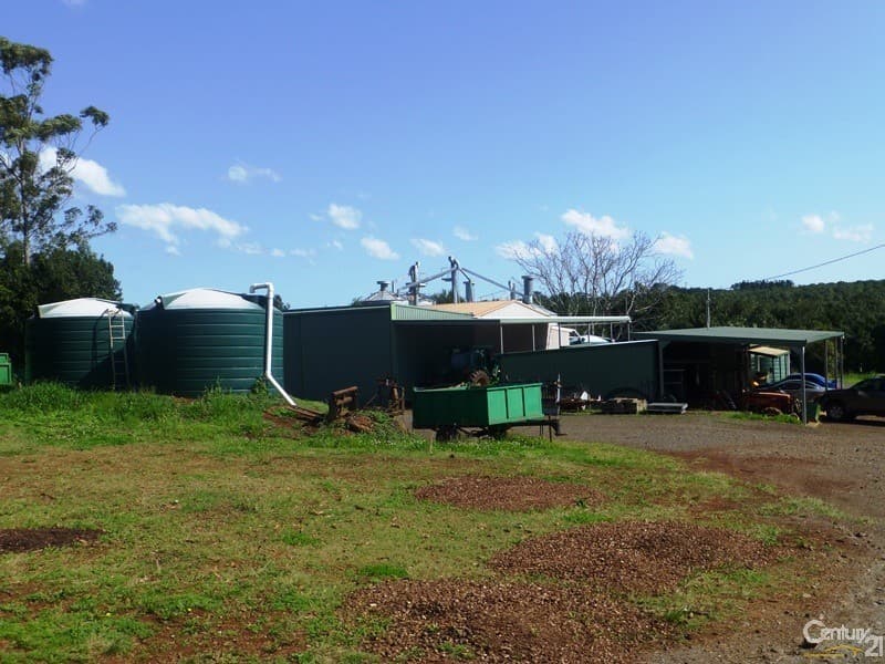 446 Humpty Back Road, Pearces Creek, NSW, 2477, Pearces Creek - Thumbnail 7