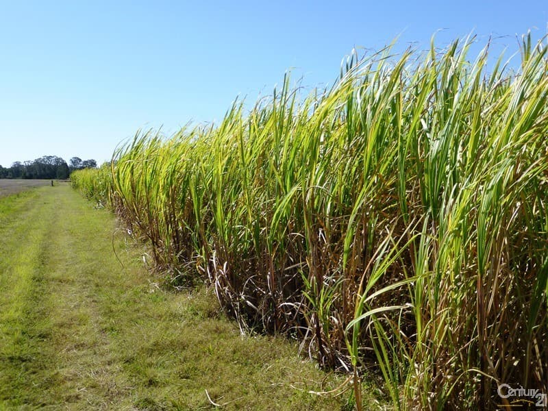 Address Withheld, Dungarubba, NSW, 2480, Dungarubba - Thumbnail 6