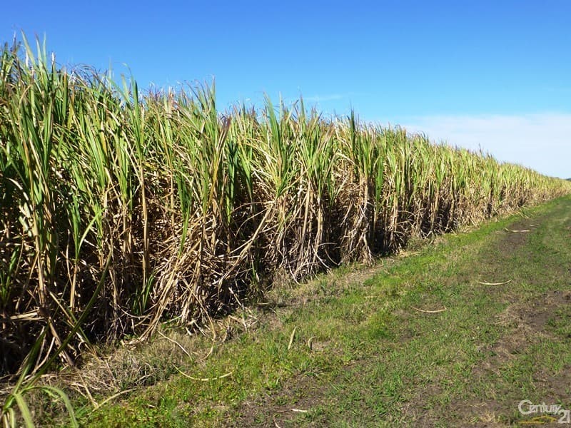 Address Withheld, Dungarubba, NSW, 2480, Dungarubba - Thumbnail 7