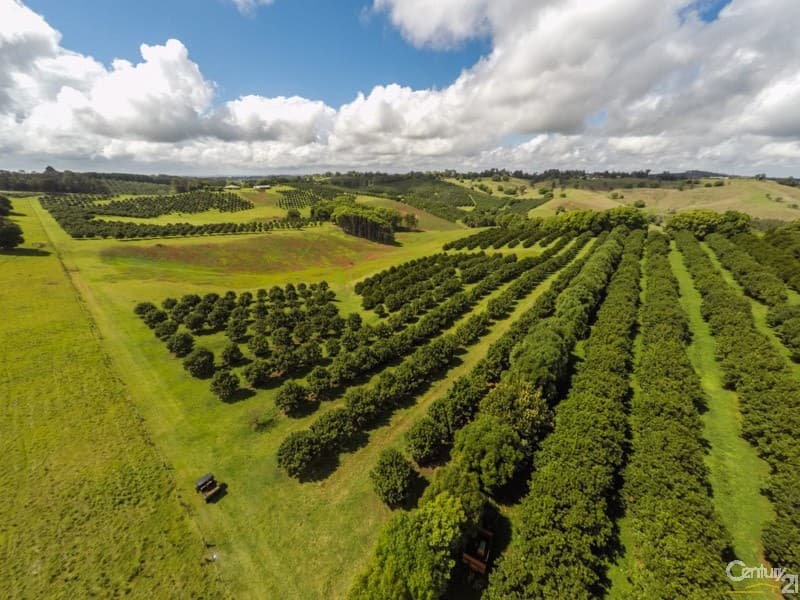 Address Withheld, Dunoon, NSW, 2480, Dunoon - Thumbnail 2