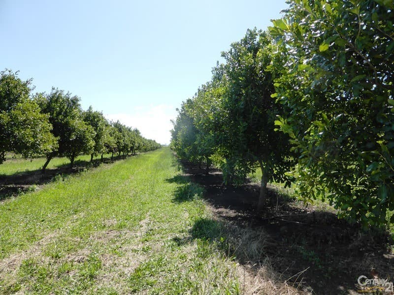 Address Withheld, Wyrallah, NSW, 2480, Wyrallah - Image 1