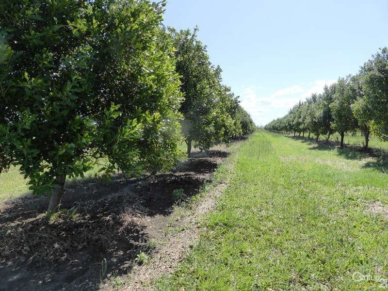 Address Withheld, Wyrallah, NSW, 2480, Wyrallah - Thumbnail 3
