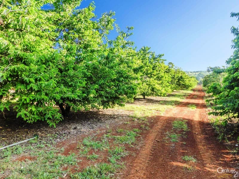 507  Duncan Road, Dunoon, NSW, 2480, Numulgi - Thumbnail 8