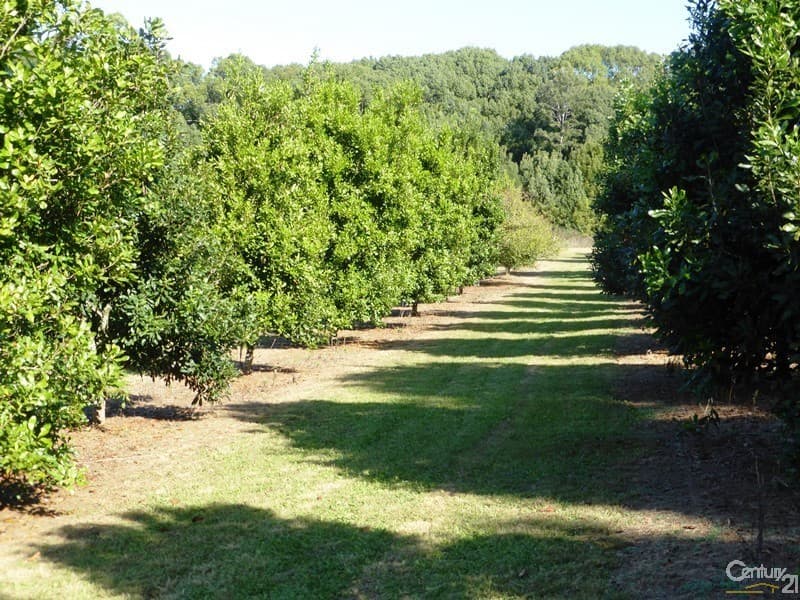Address Withheld, Alstonville, NSW, 2477, Alstonville - Thumbnail 2