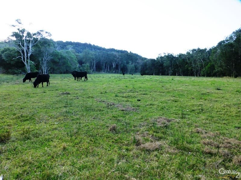 Lot 24 Koala Drive, Townsend, NSW, 2463, Townsend - Image 1