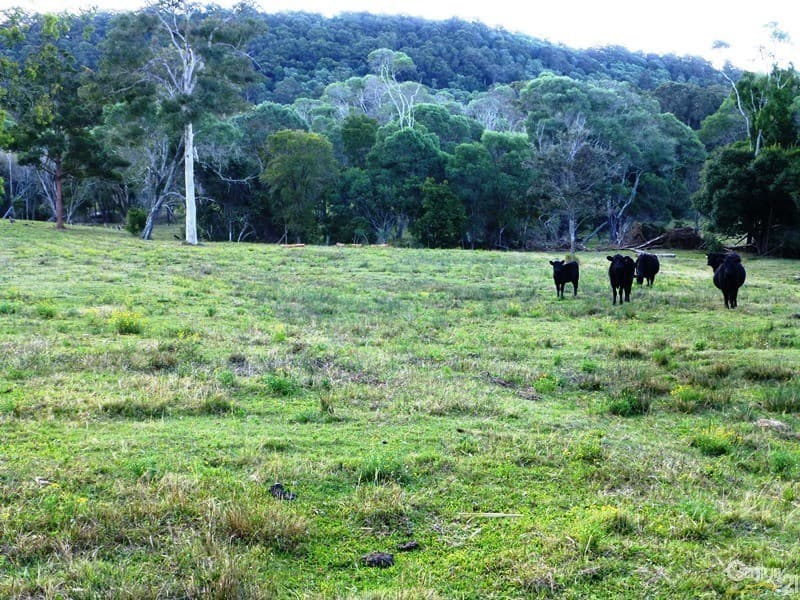 Lot 24 Koala Drive, Townsend, NSW, 2463, Townsend - Thumbnail 2