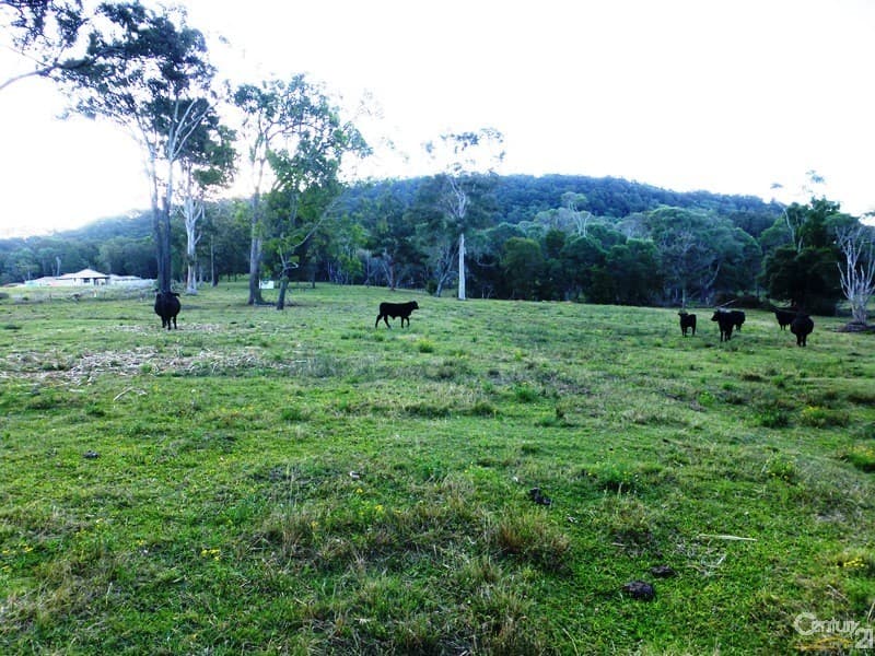 Lot 24 Koala Drive, Townsend, NSW, 2463, Townsend - Thumbnail 5