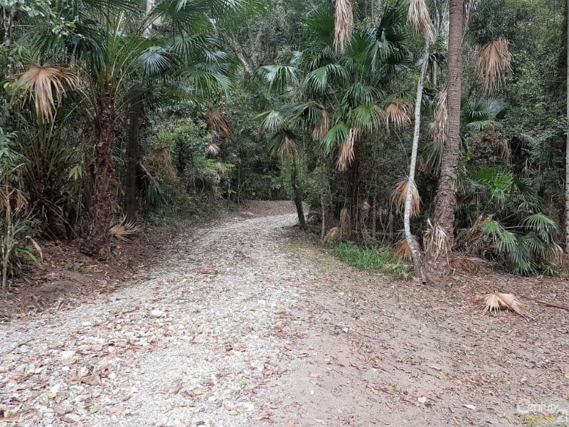 137 Gahans Road, Meerschaum Vale, NSW, 2477, Meerschaum Vale - Thumbnail 5
