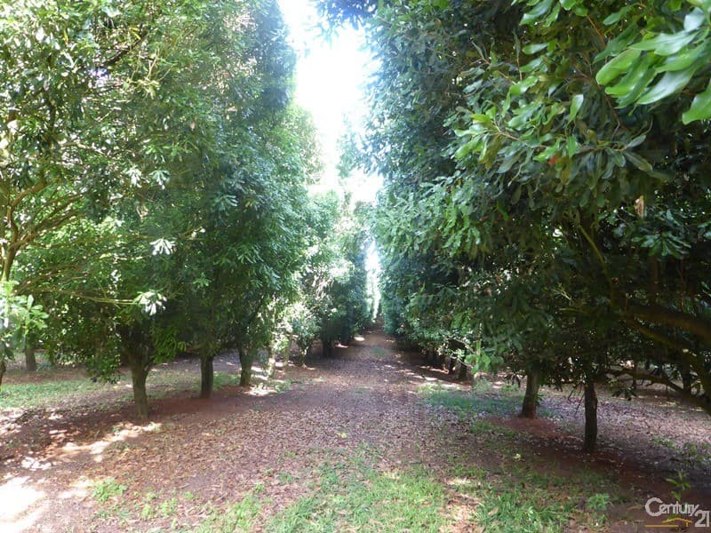 34 Frederick Drive, Grantville, Grantville - Thumbnail 2