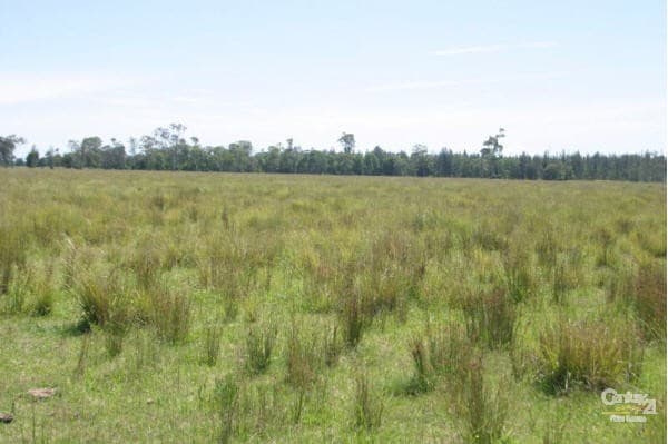 Address Withheld, Tucki Tucki, NSW, 2480, Tucki Tucki - Thumbnail 2